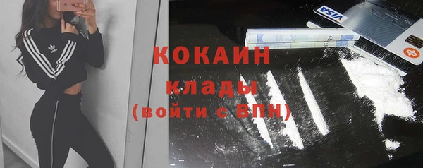ешки Алексин