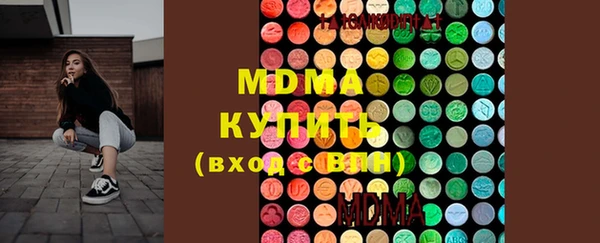 ешки Алексин