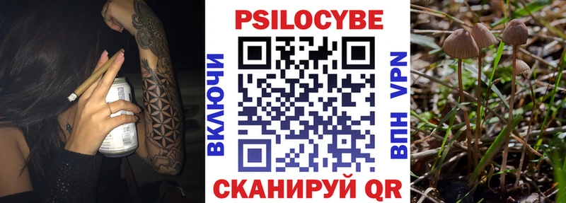 Галлюциногенные грибы мицелий Уяр